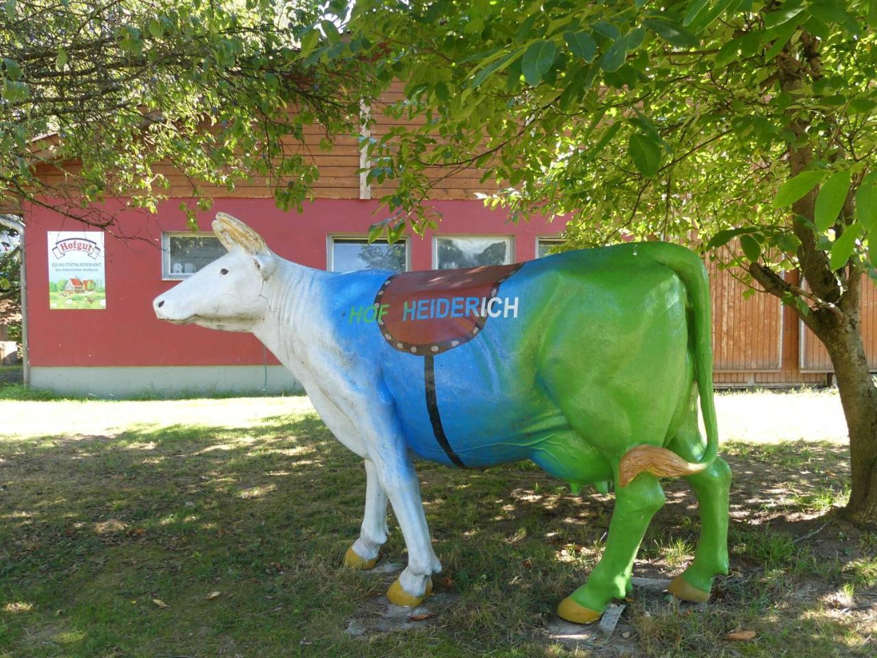 Ferienwohnungen Hof Heiderich Oberzent Zewnętrze zdjęcie